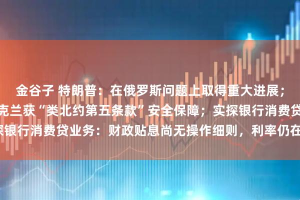 金谷子 特朗普：在俄罗斯问题上取得重大进展；美特使称普京已同意乌克兰获“类北约第五条款”安全保障；实探银行消费贷业务：财政贴息尚无操作细则，利率仍在3%以上｜早报