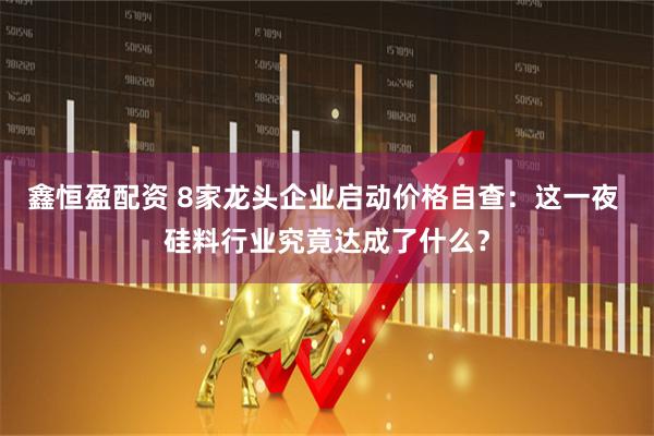 鑫恒盈配资 8家龙头企业启动价格自查：这一夜 硅料行业究竟达成了什么？